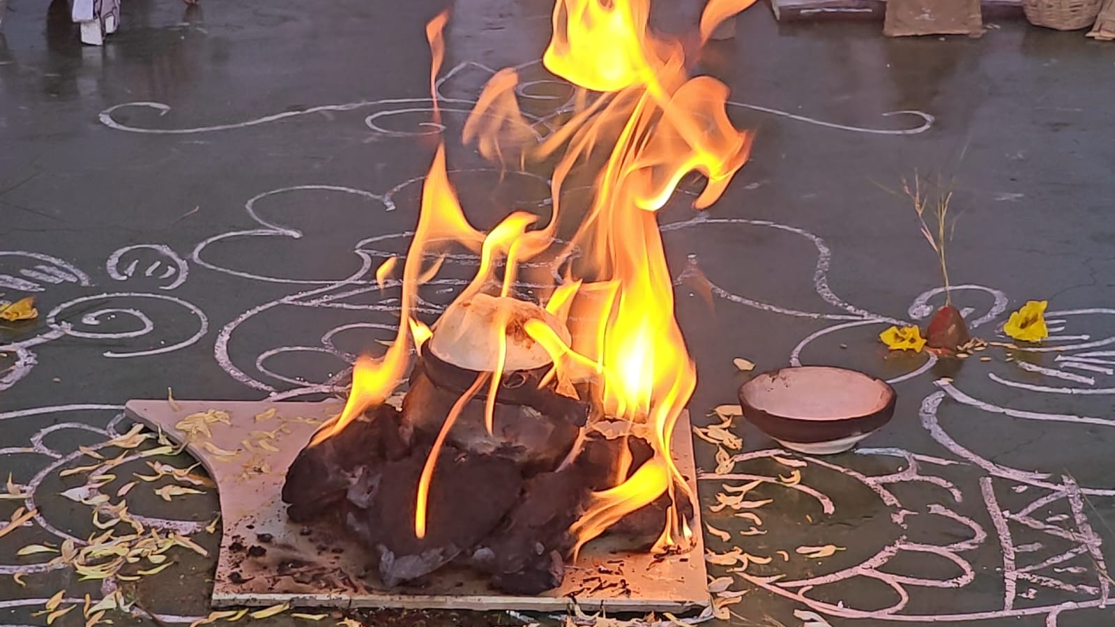 SANKRANTHI CELEBRATIONS - 2025